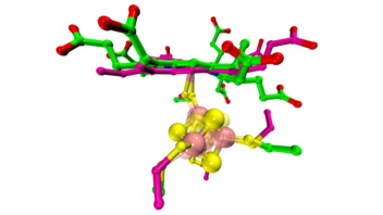 overlay of computational model of SiRCcP with crystal structure of native SiR from E. coli