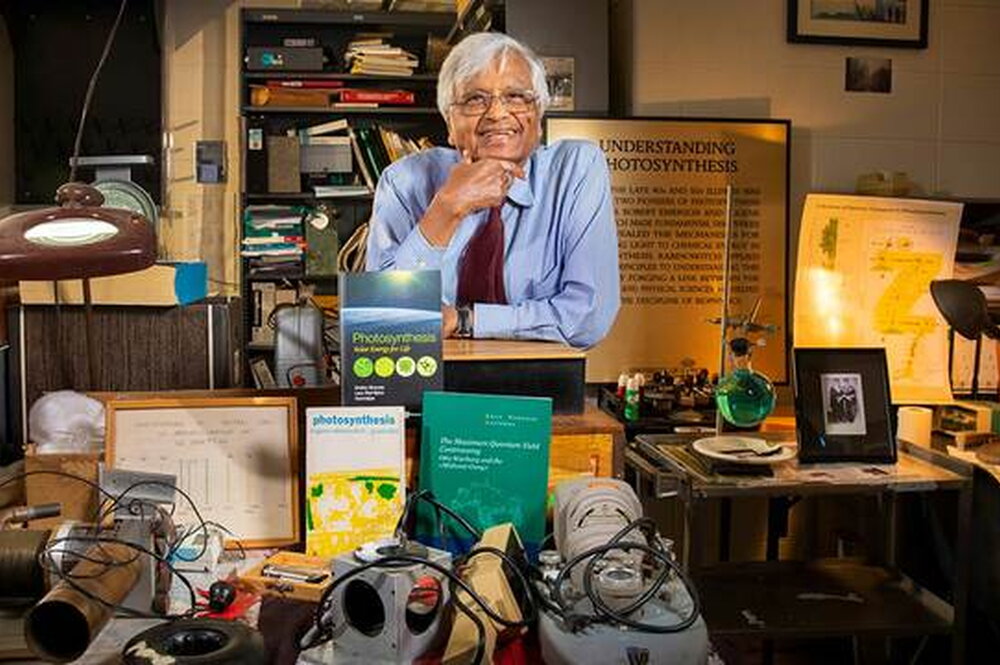 Govindjee surrounded by his work