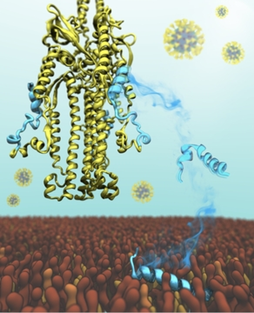 Illustration of Defne Gorgun